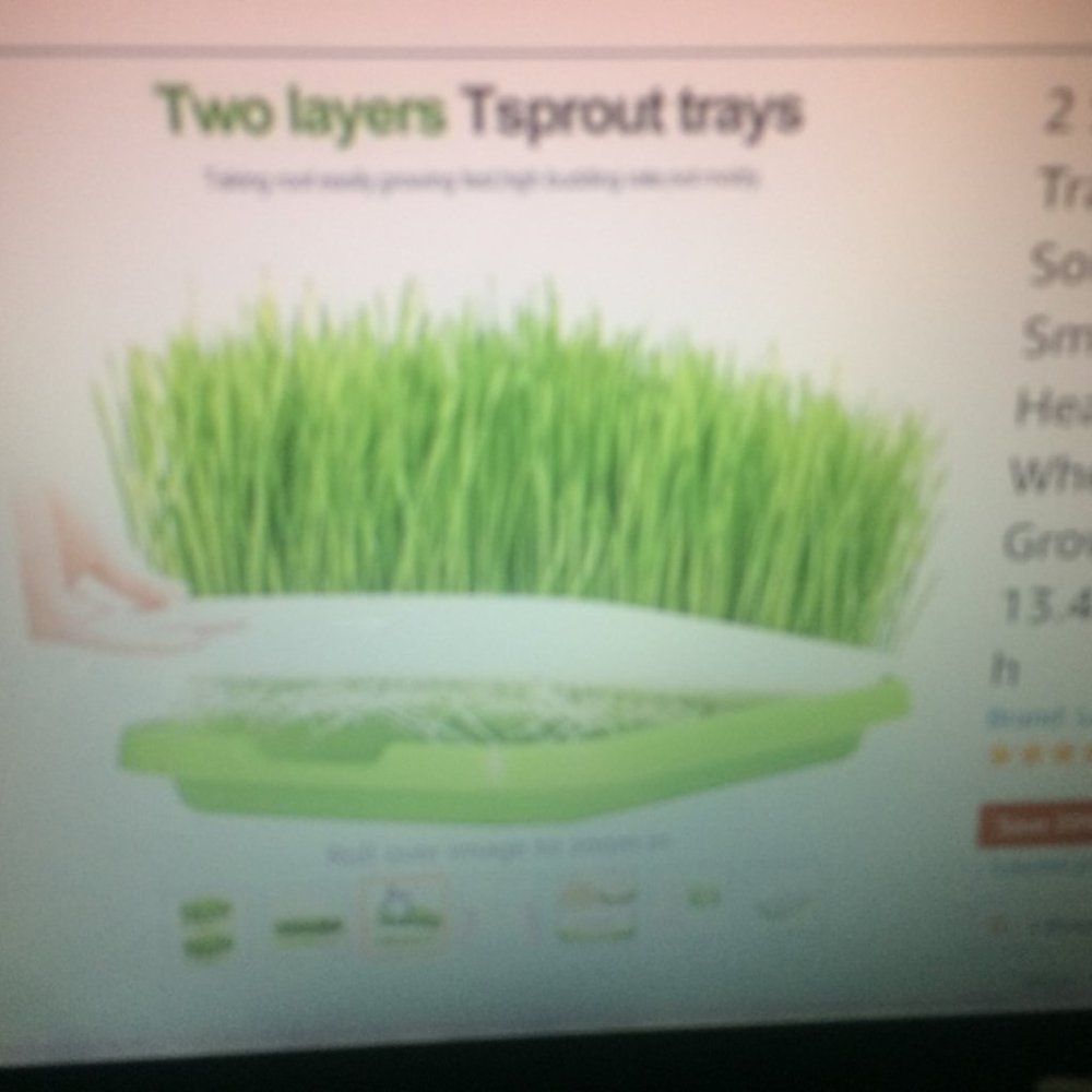 brand new TWO 2 sprout trays